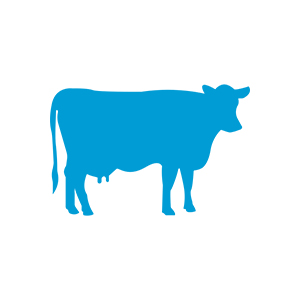 Animal Care & Welfare