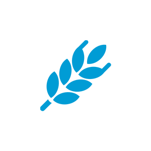 Seeds, Cereals & Grains