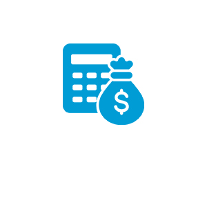 Chartered Accountant